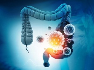 المايكروبيوم