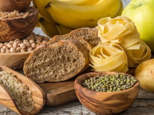 النظام النشوي للدكتور جون مكدوجال