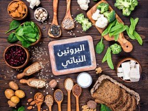 البروتين النباتي