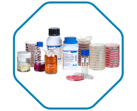 الاوساط الحيوية لتزريع البكتيريا